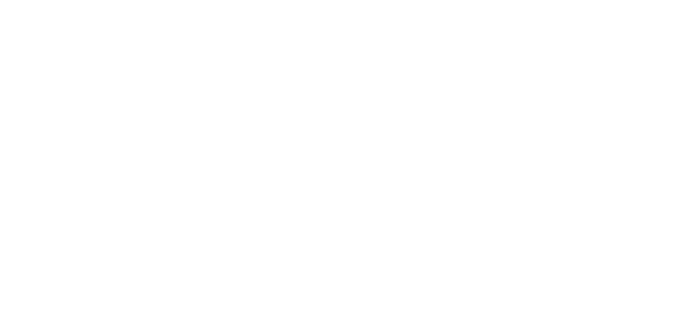 12대 중과실